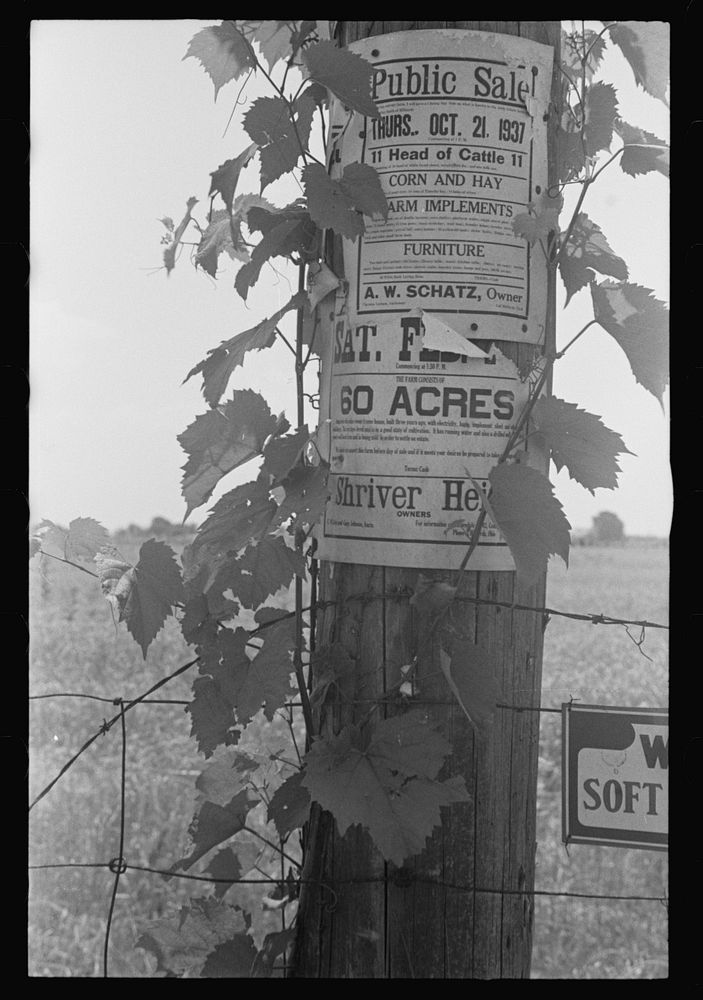 [Untitled photo, possibly related to: Roadside advertising along Route 40, central Ohio (see general caption)]. Sourced from…