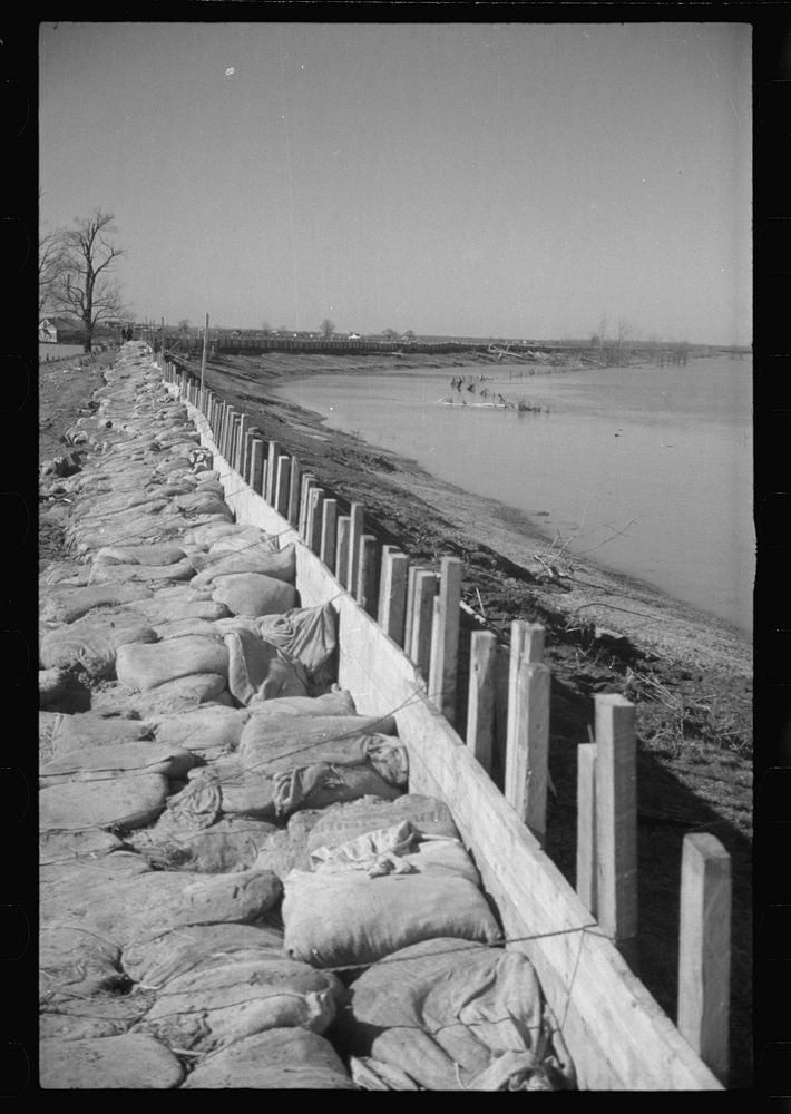 The Bessis Levee, along a subsidiary of the Mississippi River. The levee has been augmented with sand bags during the 1937…