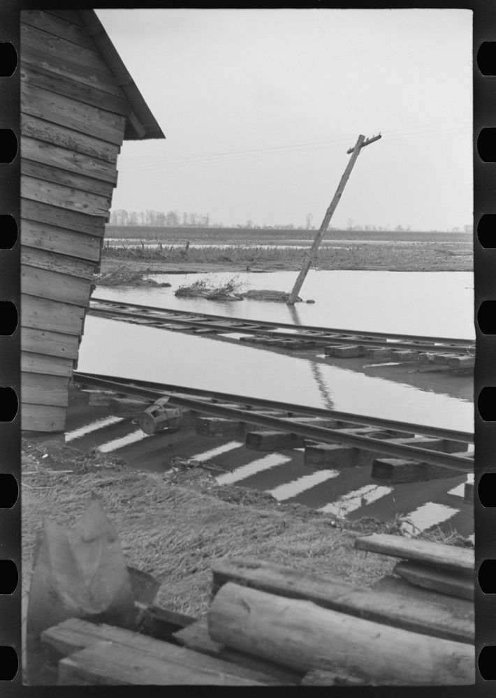 [Untitled photo, possibly related to: Farmyard covered with flood waters near Ridgeley, Tennessee]. Sourced from the Library…