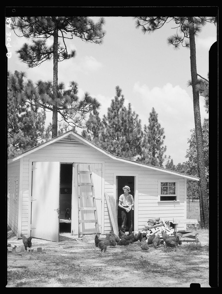 Night clerk in hotel who has been given a homestead. Mississippi. Sourced from the Library of Congress.