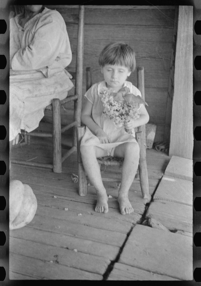 [Untitled photo, possibly related to: Laura Minnie Lee Tengle, Hale County, Alabama]. Sourced from the Library of Congress.