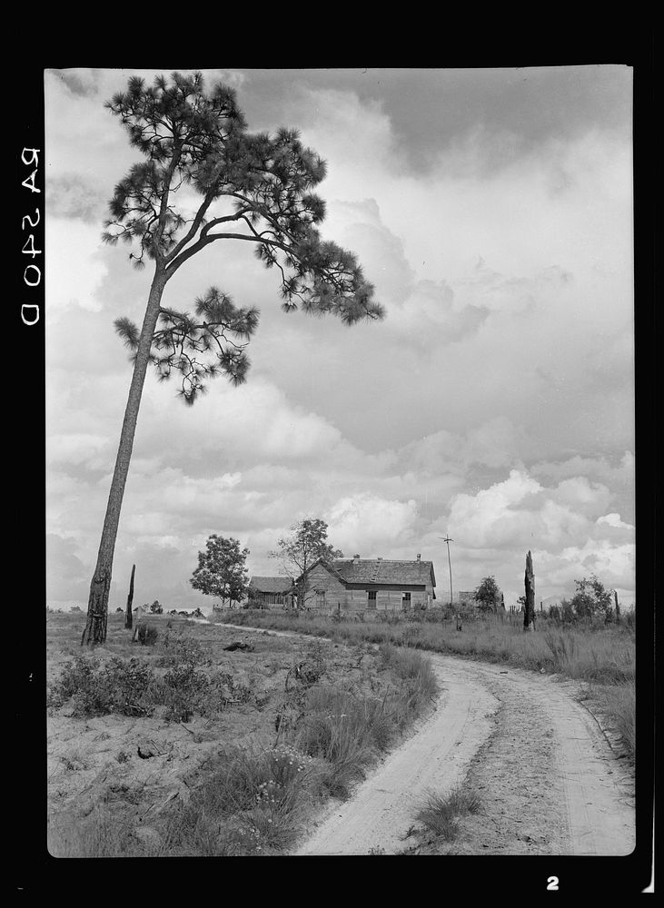 Home of tenant farmer who has not yet been moved into a new house. Irwinville Farms, Georgia. Sourced from the Library of…