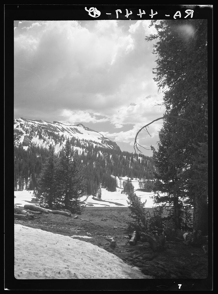 Teton National Forest, Wyoming. Sourced from the Library of Congress.