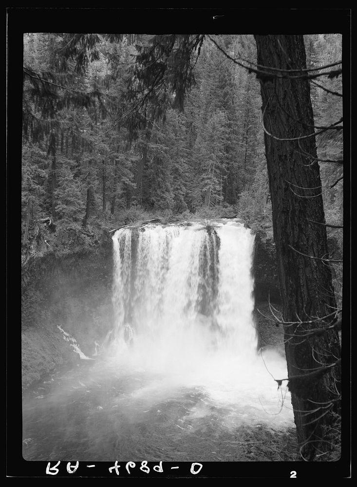 Koosah Falls on the McKenzie River. Cascade Range, Oregon. Sourced from the Library of Congress.