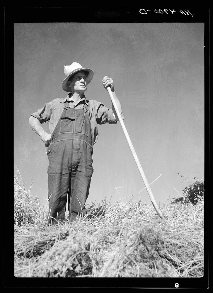 Farm hand. Goldendale, Washington. Sourced from the Library of Congress.