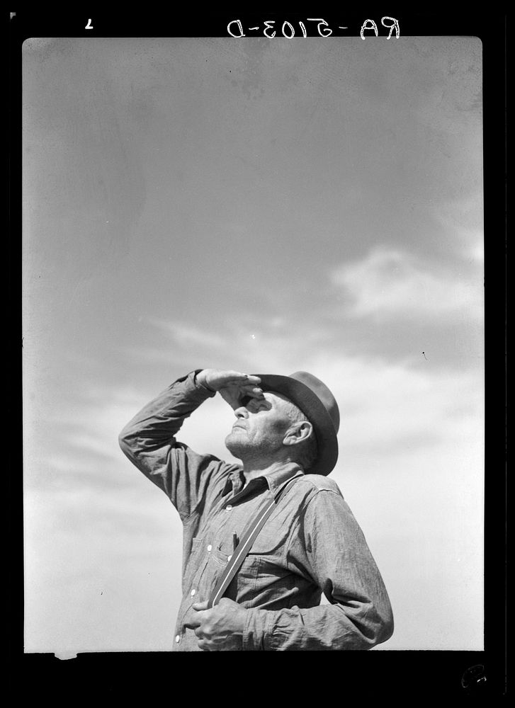 Mike Sullinger, who has a farm near Carson, North Dakota, looking for rain. Sourced from the Library of Congress.