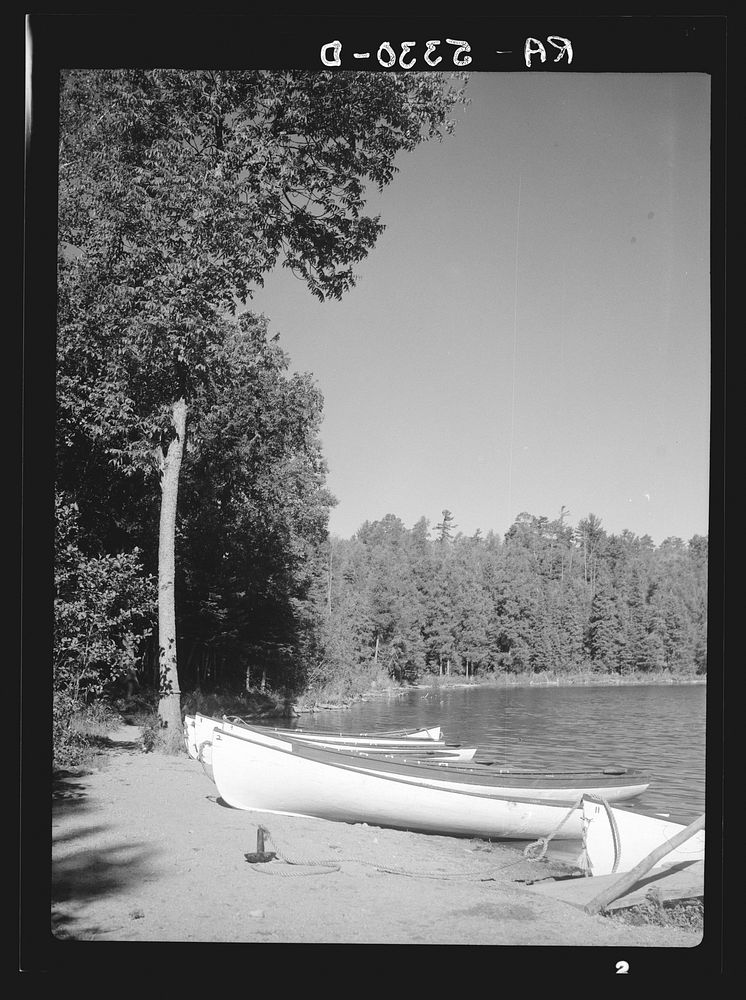 Lake Itasca, Minnesota. Sourced from the Library of Congress.