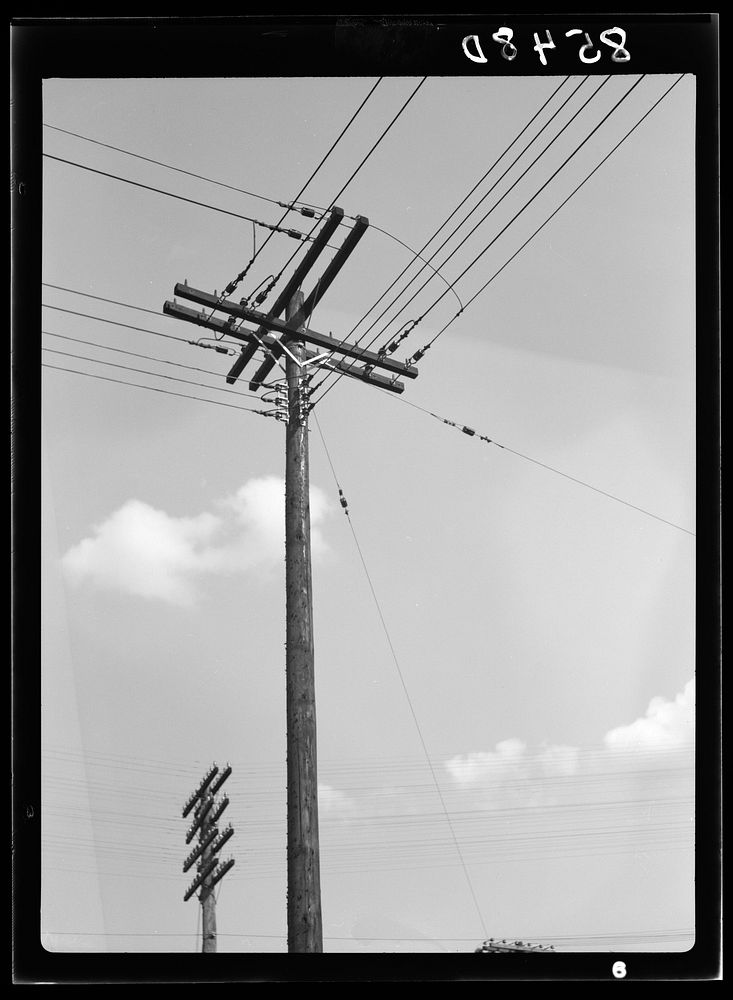 Telephone wires. Rosslyn, Virginia. Sourced from the Library of Congress.