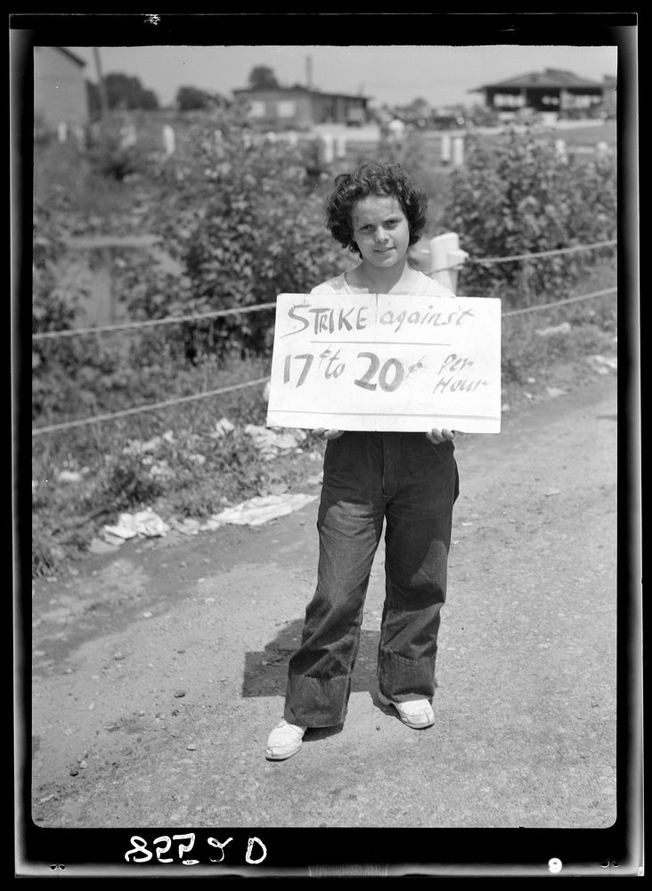 Girl in the picket line at the King Farm strike. Morrisville, Pennsylvania. Sourced from the Library of Congress.