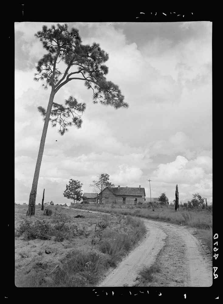 [Untitled photo, possibly related to: Home of tenant farmer who has not yet been moved into a new house. Irwinville Farms…