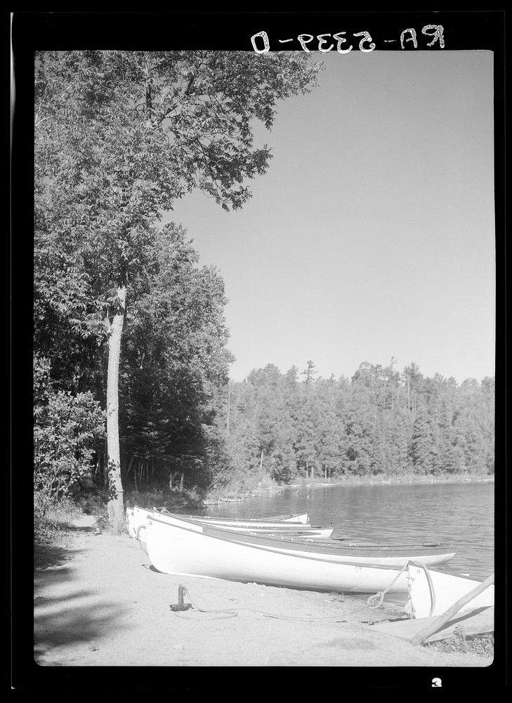 [Untitled photo, possibly related to: Lake Itasca, Minnesota]. Sourced from the Library of Congress.