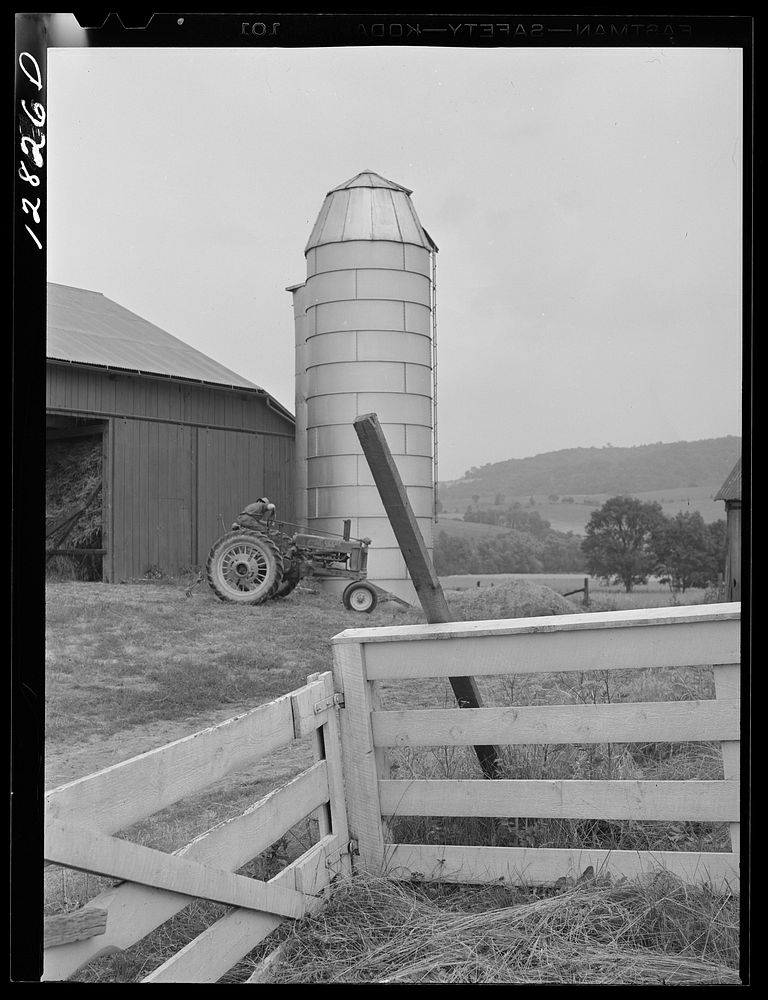 [Untitled photo, possibly related to: Farm horses and silo near Pine Grove Mills, Pennsylvania]. Sourced from the Library of…