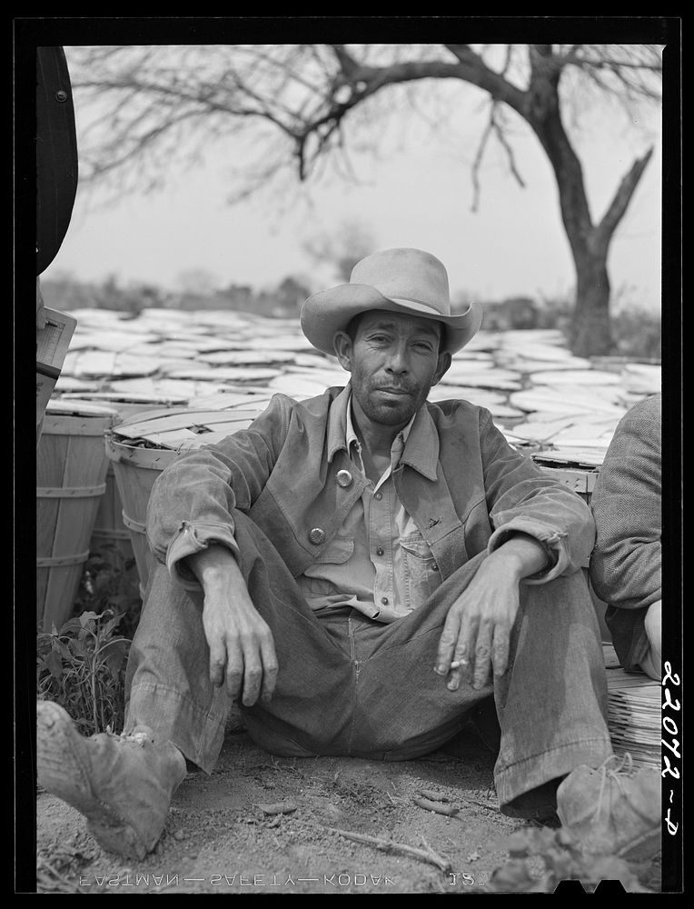 Brownsville, Texas (vicinity). Bean harvesters on large farm. Sourced from the Library of Congress.