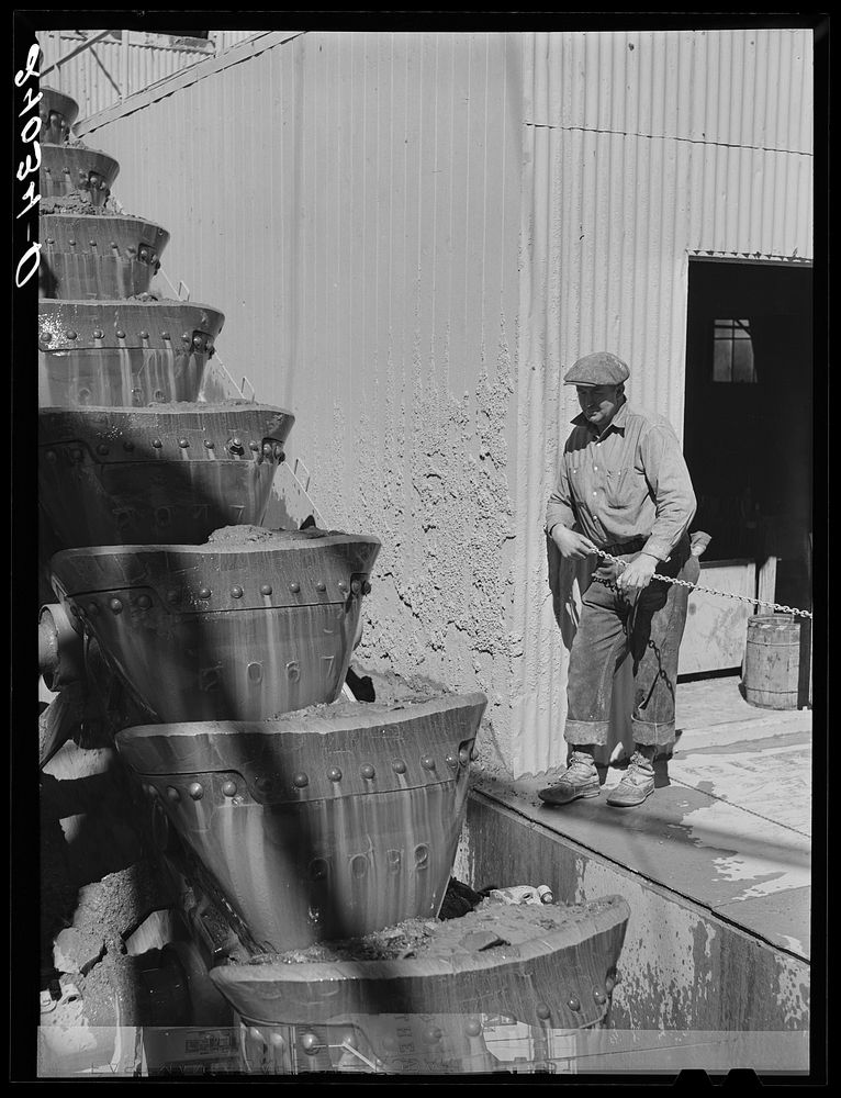 [Untitled photo, possibly related to: Gold dredge worker watches the buckets lifting the ore into the dredge. Nye County…