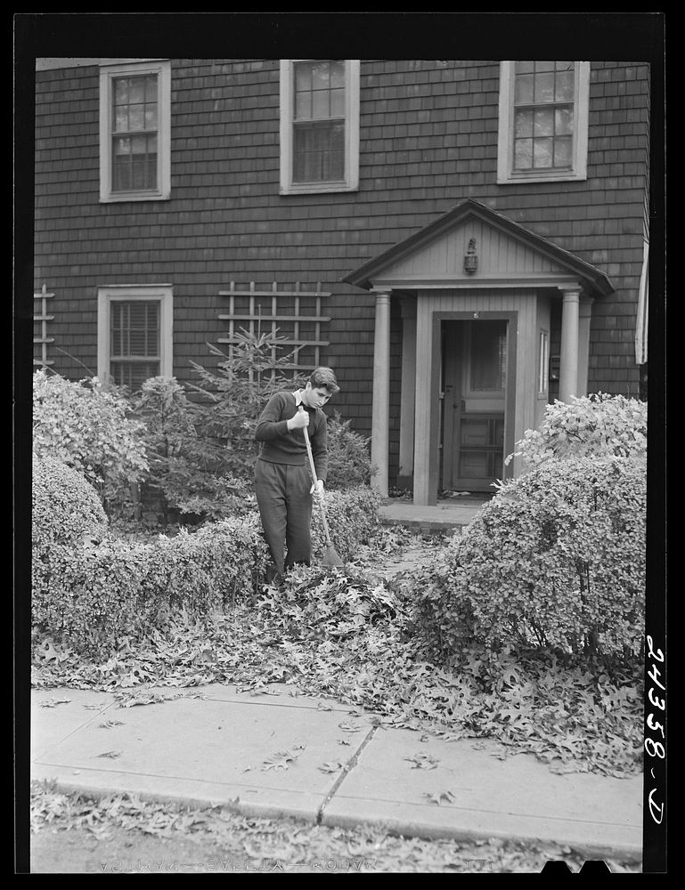 Sweeping fallen leaves in the suburbs. New York City. Sourced from the Library of Congress.