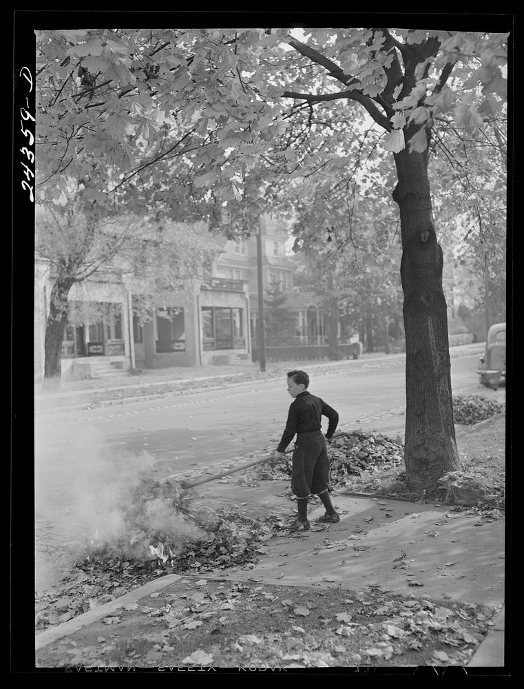 Burning fallen leaves. New York City suburbs. Sourced from the Library of Congress.