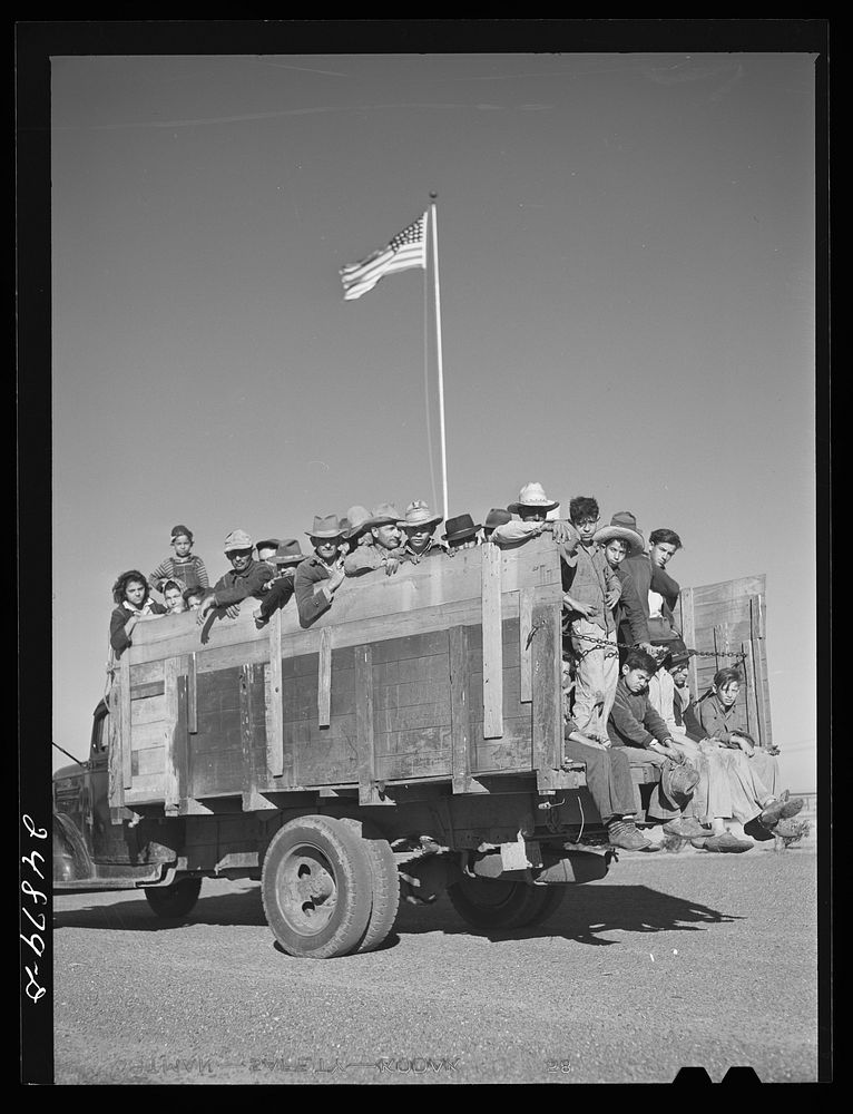Migratory workers returning from day's work. Robstown FSA (Farm Security Administration) camp, Texas. Sourced from the…