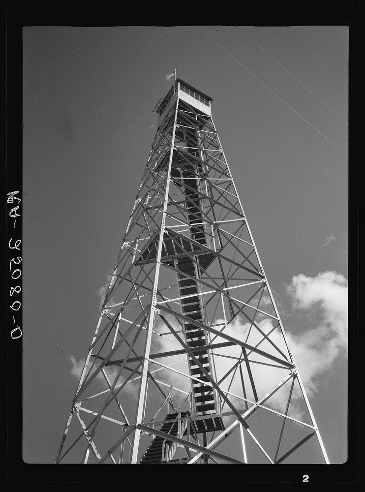 Tower used for detecting forest fires on resettlement project. Withlacoochee Land Use Project, Florida. Sourced from the…