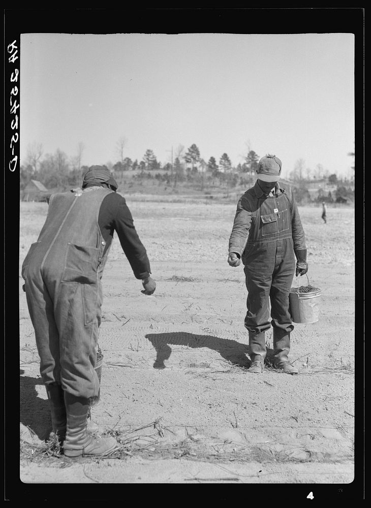 [Untitled photo, possibly related to: Work on reforestation project. Tuskegee Project, Macon County, Alabama]. Sourced from…