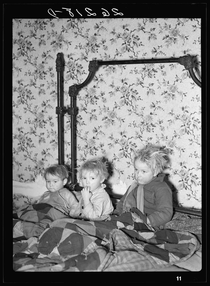 Children of Daniel Sampson. Jefferson County, New York. Sourced from the Library of Congress.
