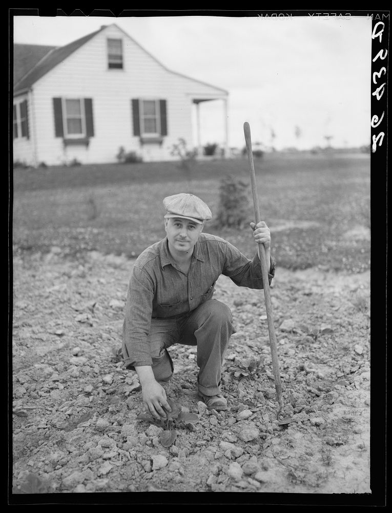 Walter Bollinger in his garden. Decatur Homesteads, Indiana. Sourced from the Library of Congress.