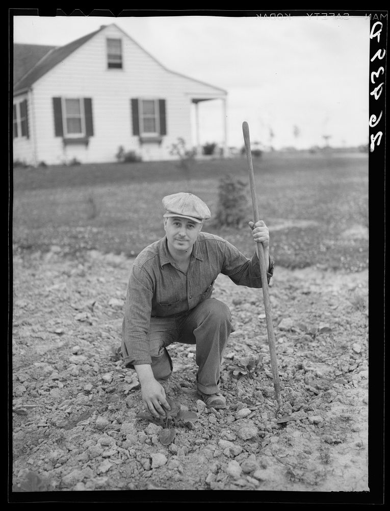 Walter Bollinger his garden. Decatur | Free Photo - rawpixel