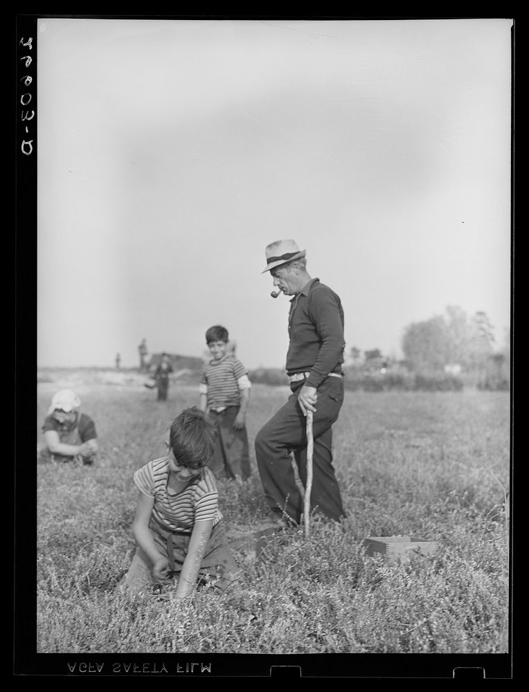 [Untitled photo, possibly related to: Boy picking cranberries. Burlington County, New Jersey]. Sourced from the Library of…
