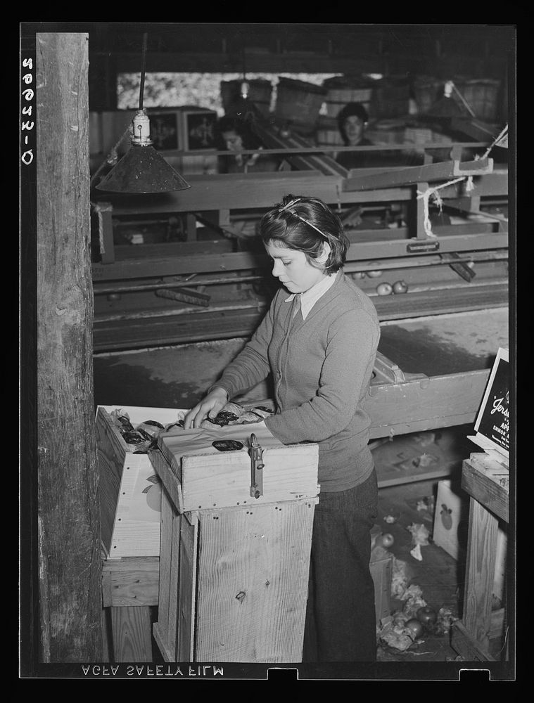 Young girl working in packinghouse. Many of these are migratory workers. Camden County, New Jersey. Sourced from the Library…