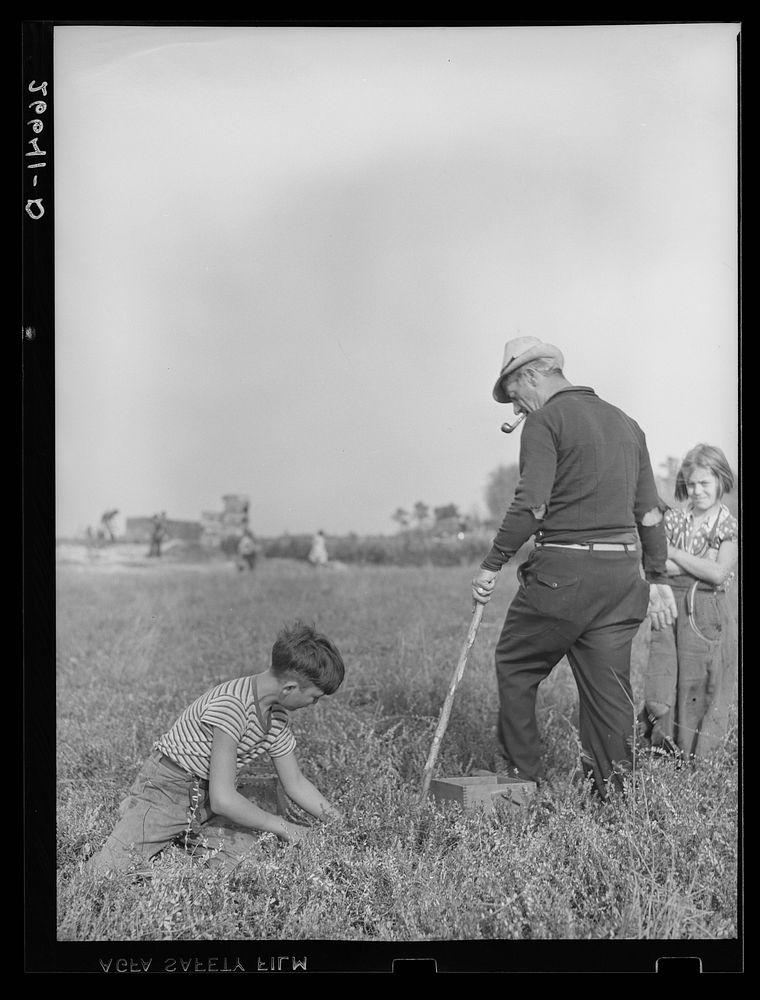 The padrone (labor contractor), who also acts as foreman in the bogs, directing a boy picking cranberries. Burlington…