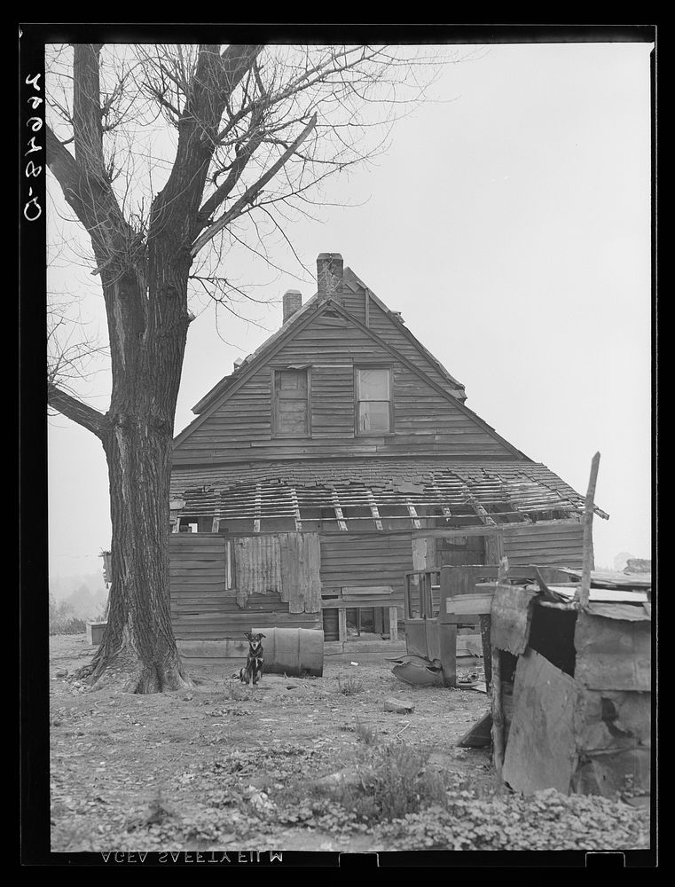 Home of tenant farmer. Camden County, New Jersey. Sourced from the Library of Congress.