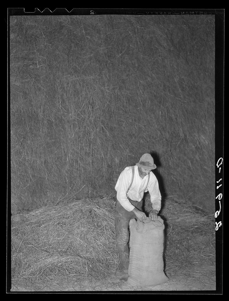 Resettled farmer. Farm tenancy project. Tompkins County, New York. Sourced from the Library of Congress.