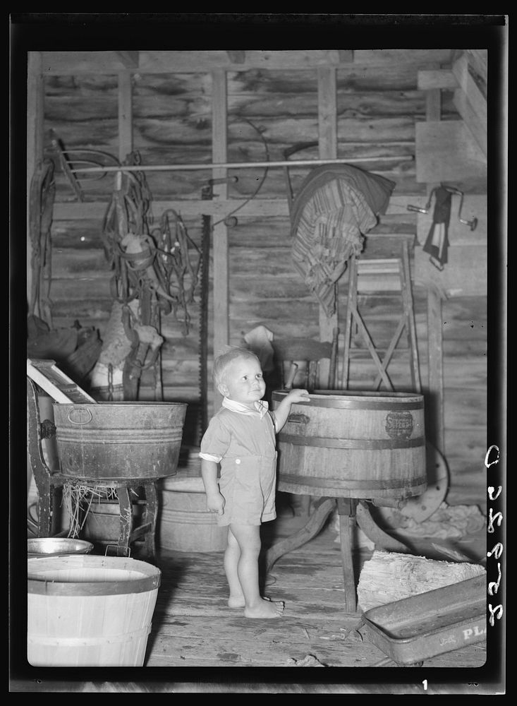 Farmer's son. Albany County, New York. Sourced from the Library of Congress.