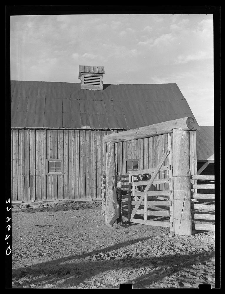 Cowhand at corral gate. Quarter Circle 'U' Ranch, Montana. Sourced from the Library of Congress.