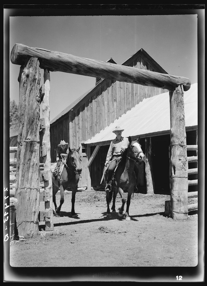 Dudes riding through corral gate. Quarter Circle 'U' Ranch, Montana. Sourced from the Library of Congress.