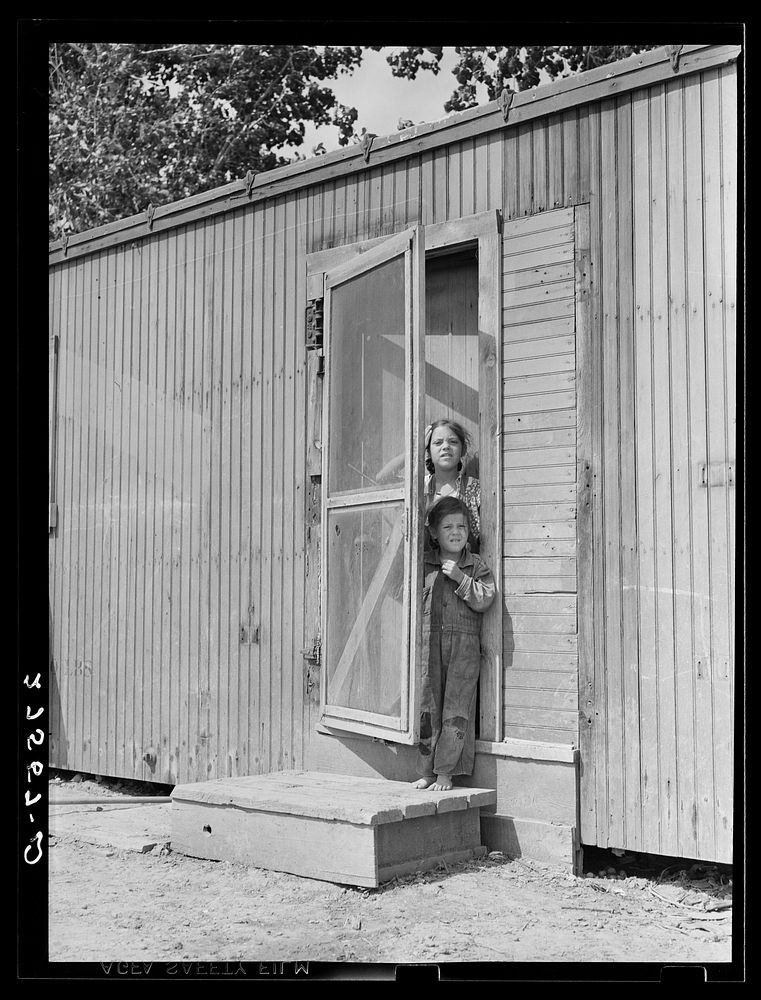 Sugar beet workers' children. Treasure County, Montana. Sourced from the Library of Congress.