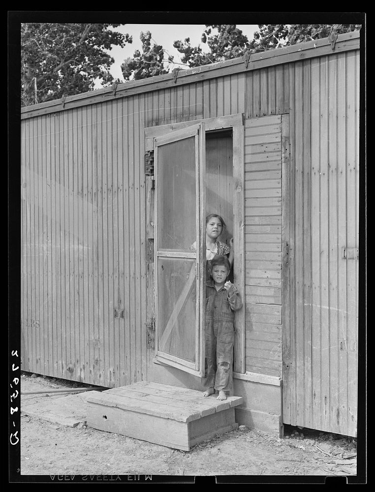 [Untitled photo, possibly related to: Sugar beet workers' children. Treasure County, Montana]. Sourced from the Library of…