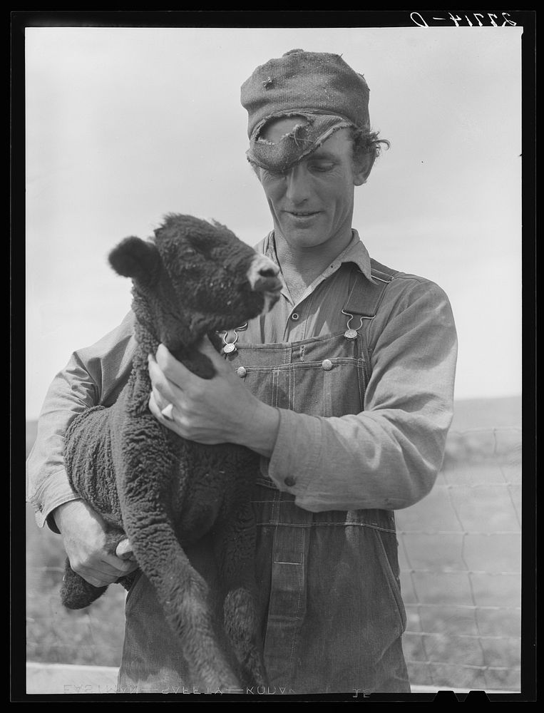 Sheepherder. Rosebud County, Montana. Sourced from the Library of Congress.