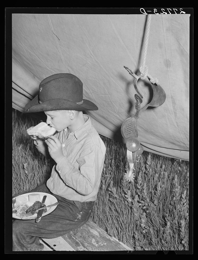 Rancher's son at dinner. Quarter Circle 'U' Ranch roundup. Big Horn County, Montana. Sourced from the Library of Congress.