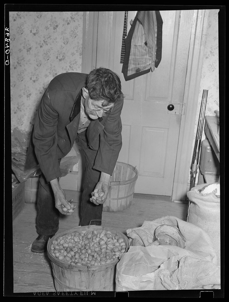 Unemployed mine worker. Bush, Illinois. Sourced from the Library of Congress.