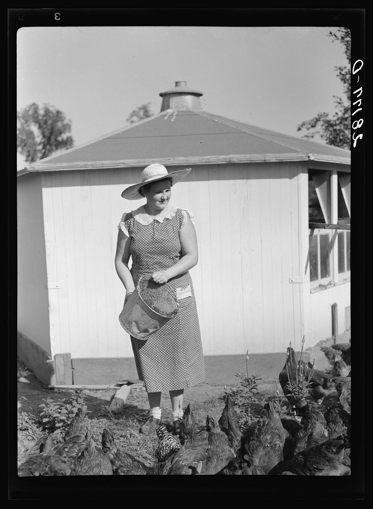 [Untitled photo, possibly related to: Mrs. Maxwell feeding chickens. Jasper County, Iowa]. Sourced from the Library of…