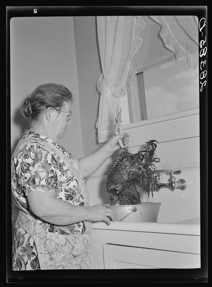 Mrs. Milton Robinson, wife of FSA (Farm Security Administration) borrower, in the kitchen of her farm home. Greeley…