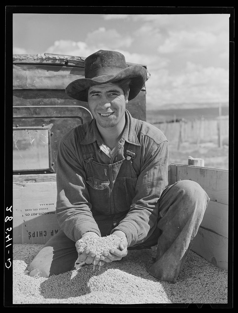 Spanish-American harvest worker with grain. Costilla County, Colorado. Sourced from the Library of Congress.