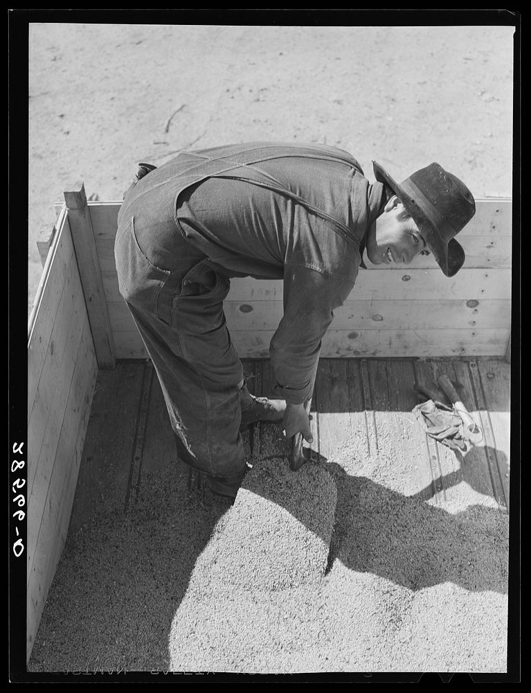 Spanish American farm laborer. Costilla County, Colorado. Sourced from the Library of Congress.