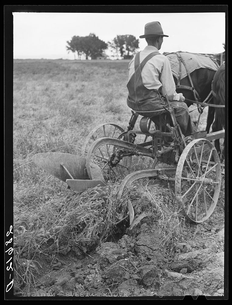 Alfred Peterson, tenant purchase borrower, plowing on his farmstead. Mesa County, Colorado. Sourced from the Library of…