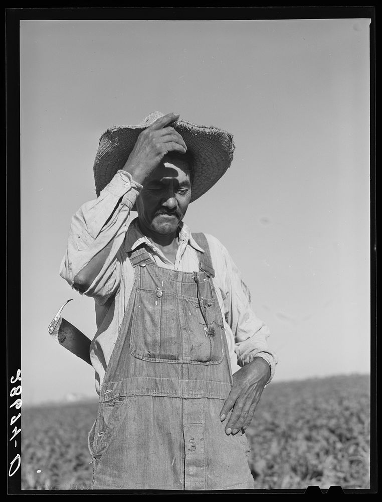 [Untitled photo, possibly related to: Field worker. Adams County, Colorado]. Sourced from the Library of Congress.