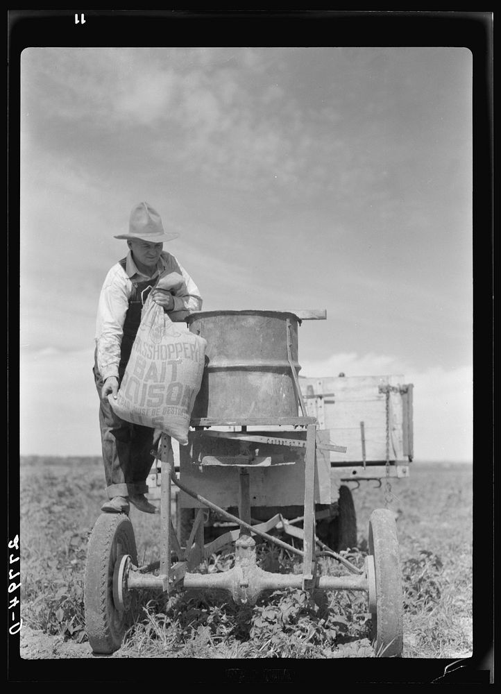 Farmer loading spreading device with grasshopper poison. Forsyth, Montana. Sourced from the Library of Congress.