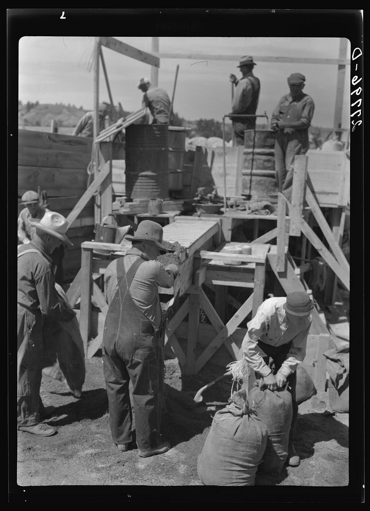 [Untitled photo, possibly related to: Filling a bag with poison bait for grasshoppers. Forsyth, Montana]. Sourced from the…