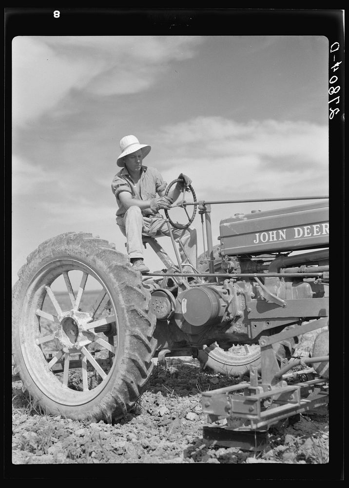 [Untitled photo, possibly related to: Sugar beet cultivator. Rosebud County, Montana]. Sourced from the Library of Congress.