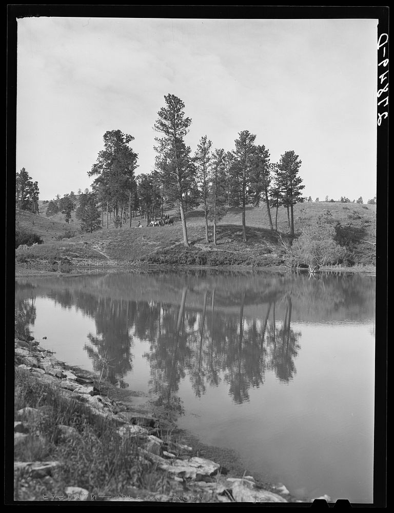Stock water dam. Big Horn County, Montana. Sourced from the Library of Congress.