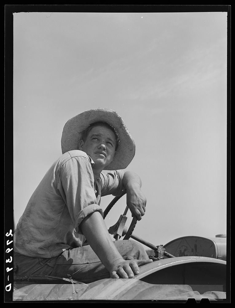 [Untitled photo, possibly related to: Bud Kimberley, a future farmer of America, driving a tractor. Jasper County, Iowa].…